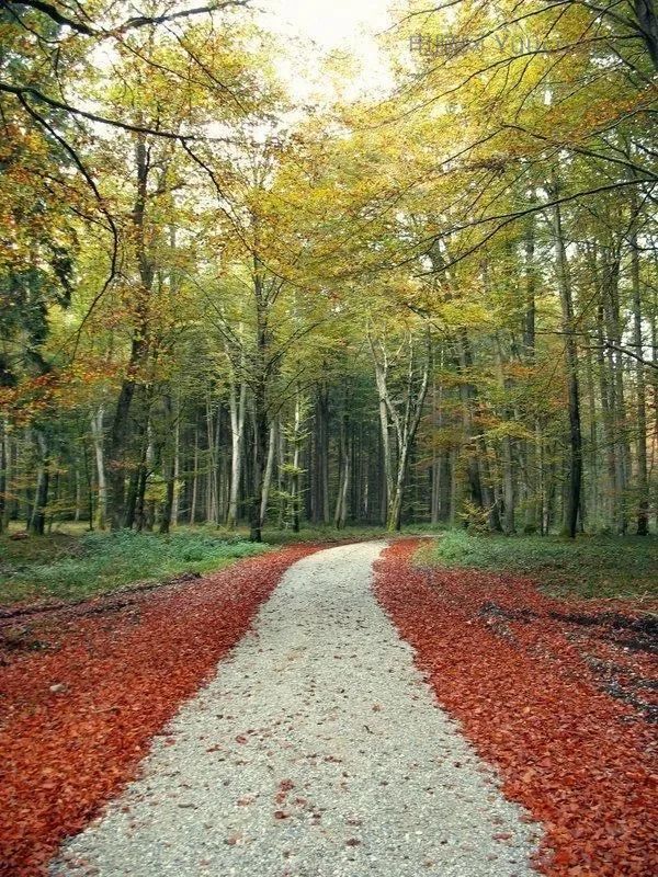 创意合成，把风景完美的融合到苹果里面_www.yuucn.com
