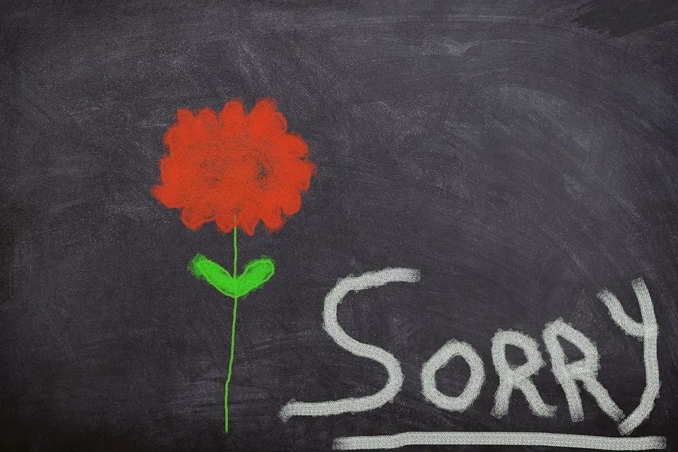 活久见!郭敬明道歉了!于正也道歉了!道歉的英文就是SORRY吗? 活久见!郭敬明道歉了!于正也道歉了!道歉的英文就是SORRY吗?