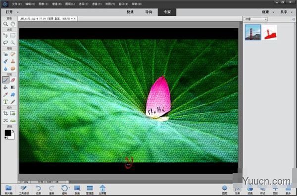Adobe Photoshop Elements 2022 v20.0 中文一键安装破解版(附使用教程)