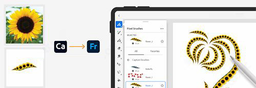 adobe fresco 2021 v2.01 一键直装中文版(附安装教程)