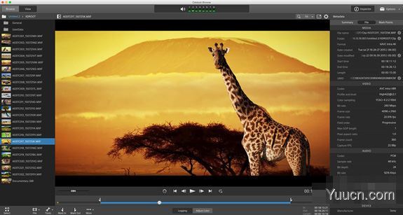 Sony Catalyst Production Suite 2021.1中文破解补丁 附使用教程