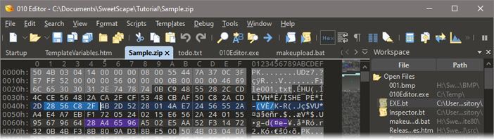 十六进制文本编辑器010 Editor v12.0.1 免费破解版 附激活教程+补丁 64位