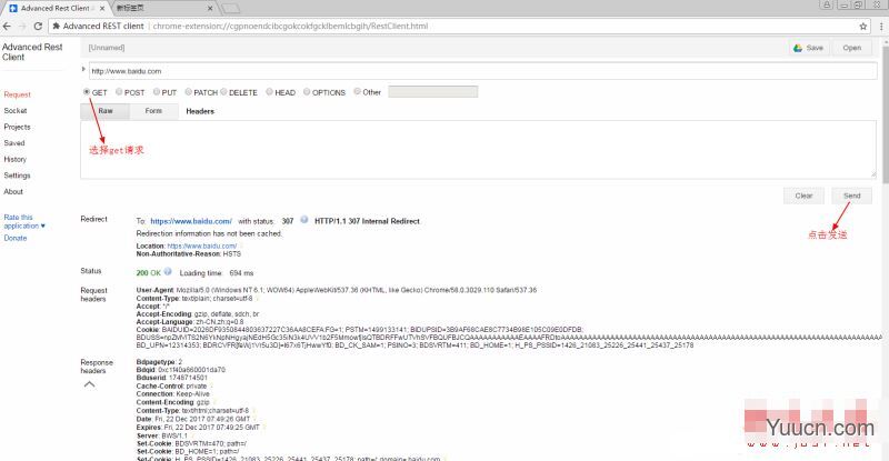 Advanced REST Client (ARC游览器插件) v8.19.60.296 最新版
