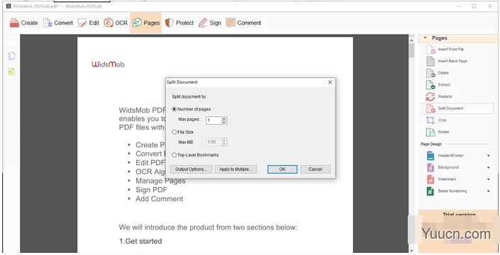 PDF编辑器widsmob pdfedit v3.0.1 安装破解版(附激活教程)