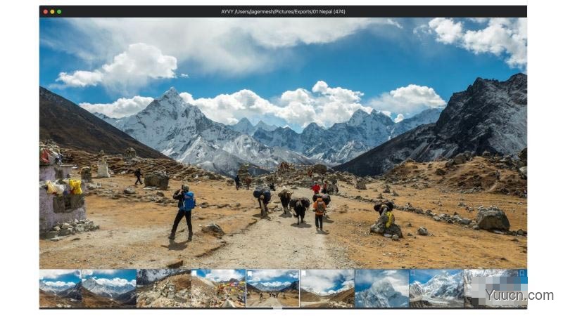 AYVY(图片/视频/PDF/RAW快速浏览) for Mac v1.11.0 直装破解版