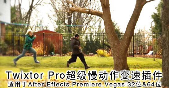 Twixtor for Mac V6.2.3 苹果电脑版 Twixtor for Mac V6.2.3 苹果电脑版