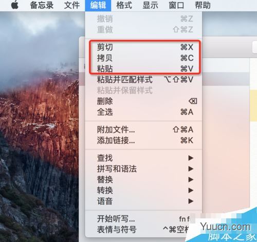 苹果MAC系统复制粘贴快捷键是什么？
