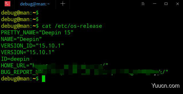 deepin系统版本号怎么看? deepin系统查看系统版本信息的技巧