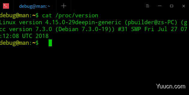 deepin系统版本号怎么看? deepin系统查看系统版本信息的技巧