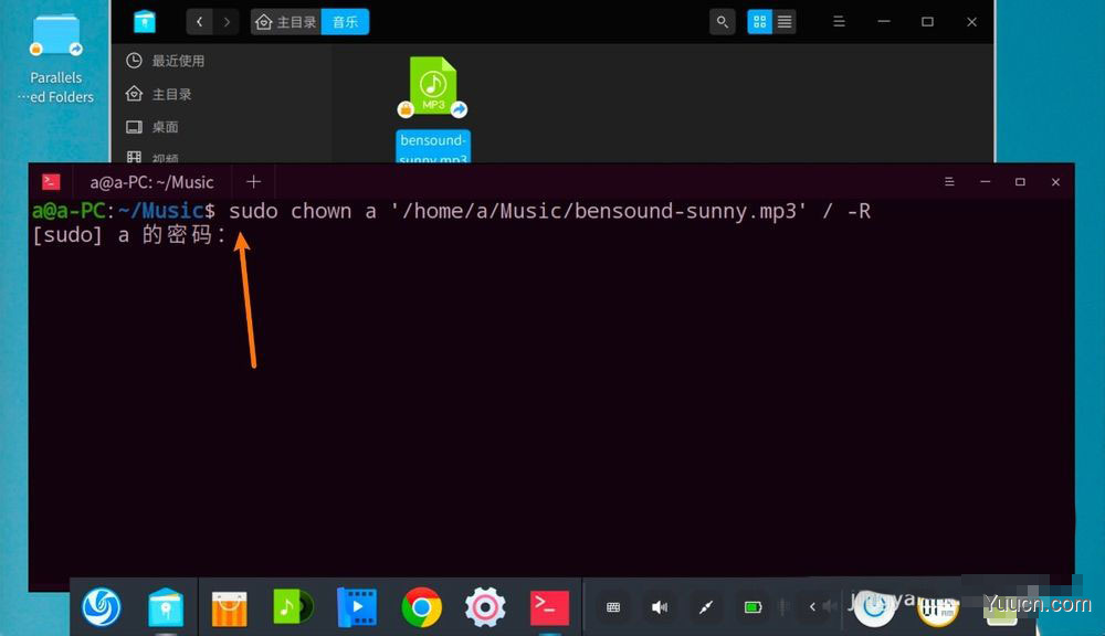 deepin文件有个锁头怎么删除? deepin删除带锁头文件的技巧 deepin文件有个锁头怎么删除? deepin删除带锁头文件的技巧