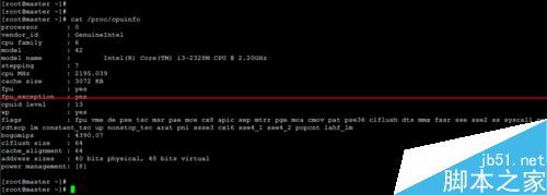 Linux查看系统信息的常用命令