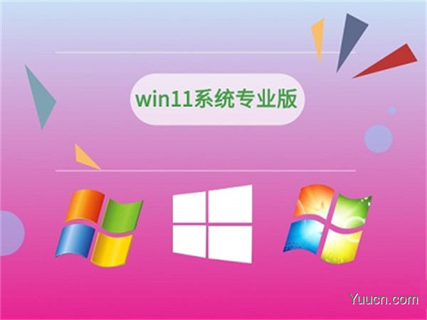 win11专业版和家庭版有什么区别?win11专业版和家庭版区别对比 win11专业版和家庭版有什么区别?win11专业版和家庭版区别对比