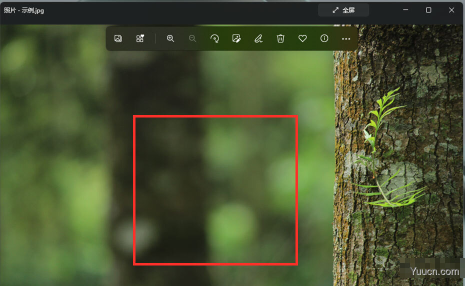 win11怎么压缩图片? windows11压缩图片大小的技巧
