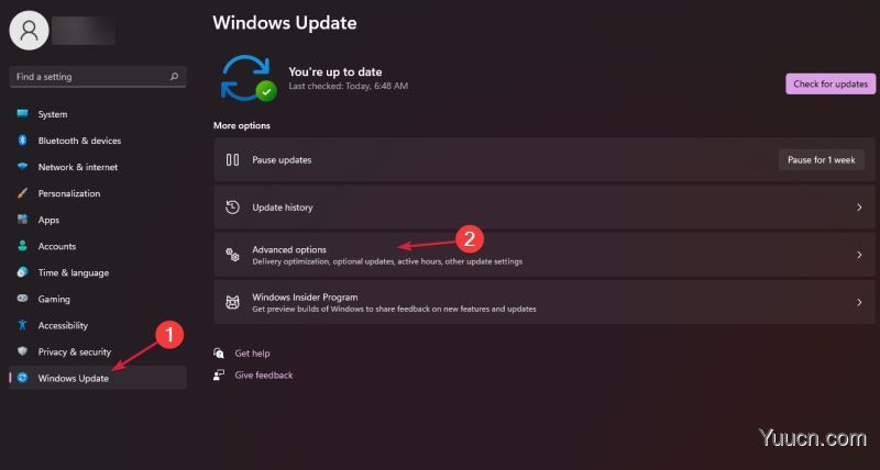 如何从Windows11回滚到Windows10？回滚后Win11自动安装解决办法