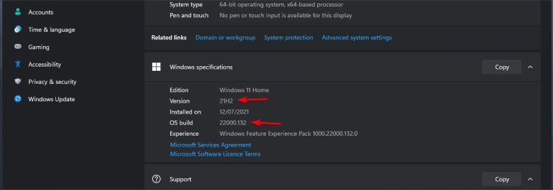 如何检查您的Win11版本？Win11各版本区别与查看Win11版本方法