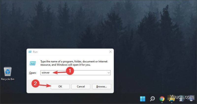 如何检查您的Win11版本？Win11各版本区别与查看Win11版本方法