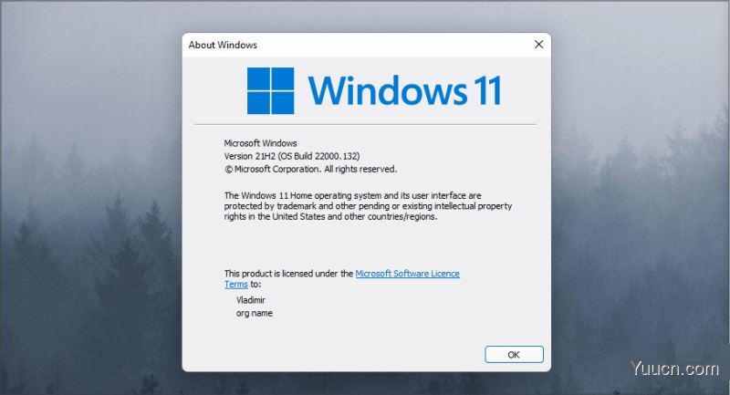 如何检查您的Win11版本？Win11各版本区别与查看Win11版本方法