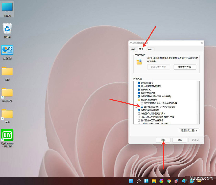 win11怎么隐藏文件? windows11显示隐藏文件和文件夹的技巧