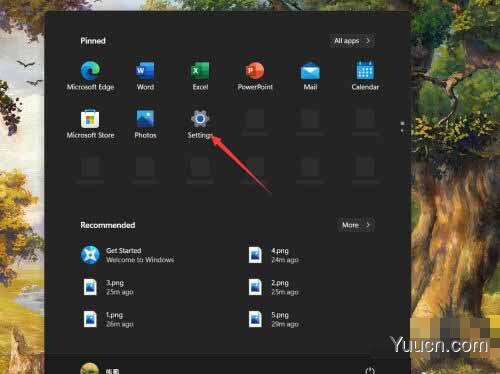 win11如何设置暂停更新?