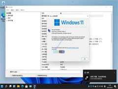 Win11系统语言修改不了中文怎么办?Win11系统的语言设置教程 Win11系统语言修改不了中文怎么办?Win11系统的语言设置教程