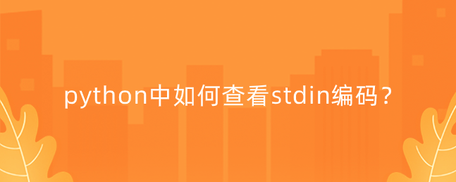 python中如何查看stdin编码？