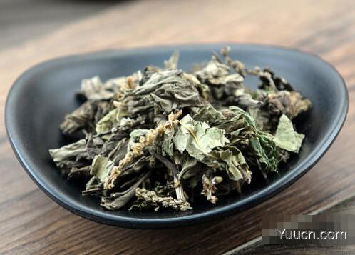 车前草的功效与作用及禁忌 车前草的功效与作用及禁忌