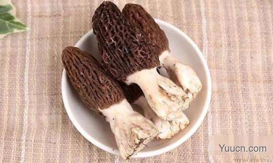 羊肚菌的功效(图文) 羊肚菌的功效(图文)