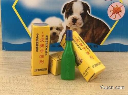 家里有蟑螂怎么办 家里有蟑螂怎么办