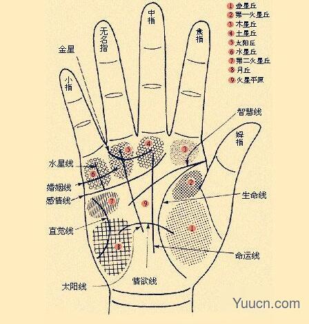 手相算命图解大全