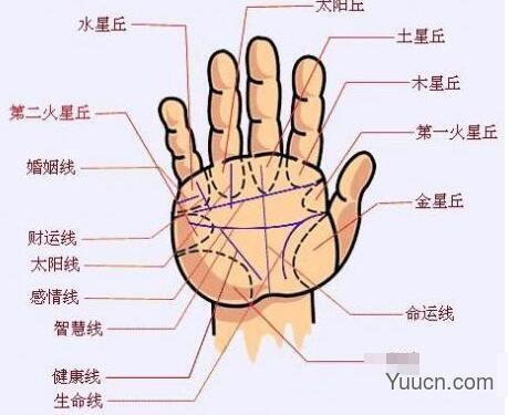 手相算命图解大全