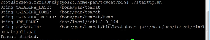 购买服务器与域名利用tomcat快速搭建个人网站