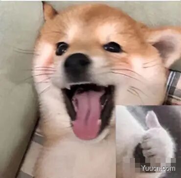 高级前端进阶（五）
