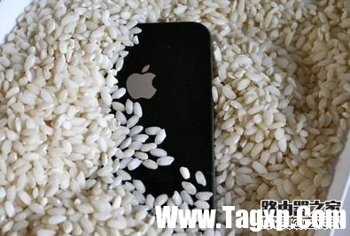 iphone6s掉水里怎么办?iphone6s掉入水中的处理方法 iphone6s掉水里怎么办?iphone6s掉入水中的处理方法