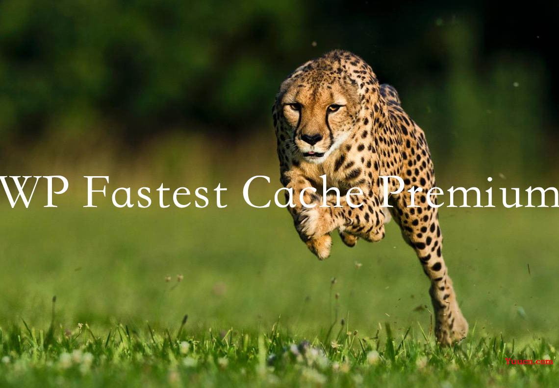 2022年强推wordpress最好用的收费缓存插件汉化版WP Fastest Cache PremiumV1.6.4，WP最快的缓存高级版插件-电脑学习网破解