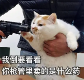 python实现全自动安装第三方库,从此跟pip说拜拜!!「建议收藏」 python实现全自动安装第三方库,从此跟pip说拜拜!!「建议收藏」