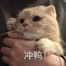 【python】程序员最浪漫的表白方式，将情书写在她的照片里