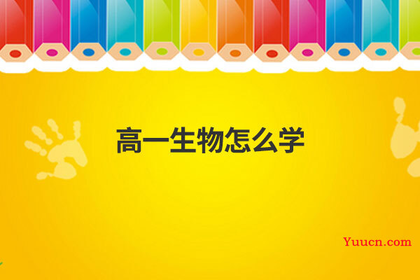 高一生物怎么学