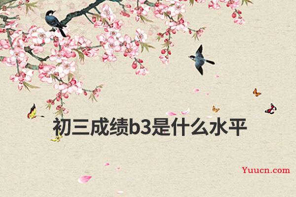 初三成绩b3是什么水平