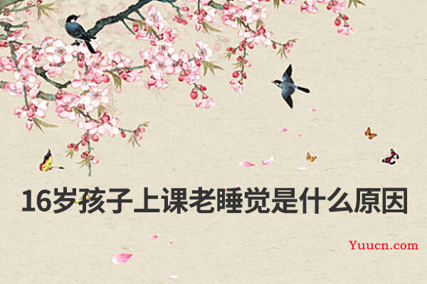 16岁孩子上课老睡觉是什么原因