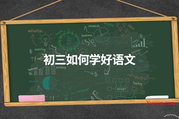 初三如何学好语文