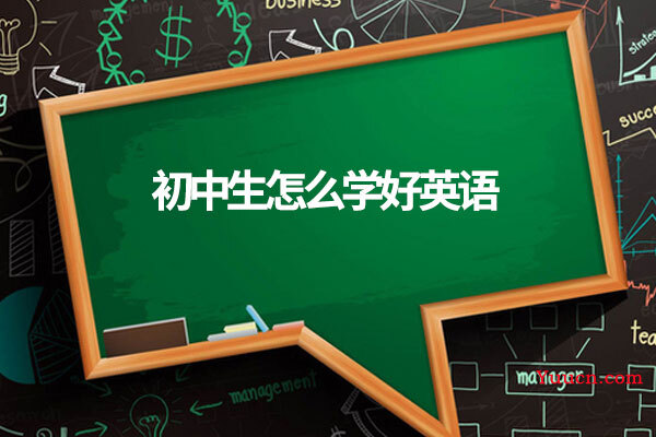 初中生怎么学好英语