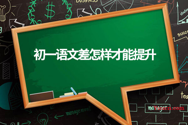 初一语文差怎样才能提升