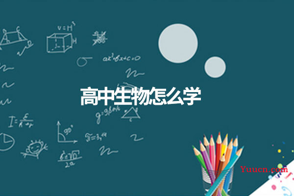 高中生物怎么学