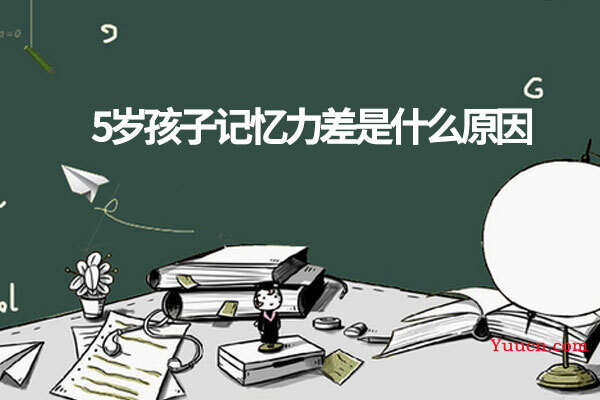 5岁孩子记忆力差是什么原因
