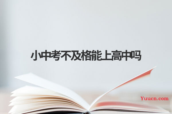 小中考不及格能上高中吗