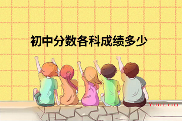 初中分数各科成绩多少