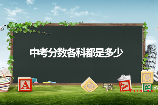 中考分数各科都是多少