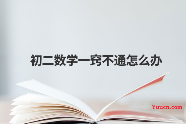 初二数学一窍不通怎么办