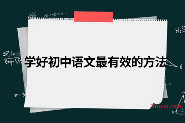 学好初中语文最有效的方法