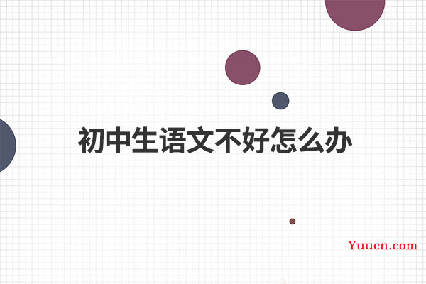 初中生语文不好怎么办
